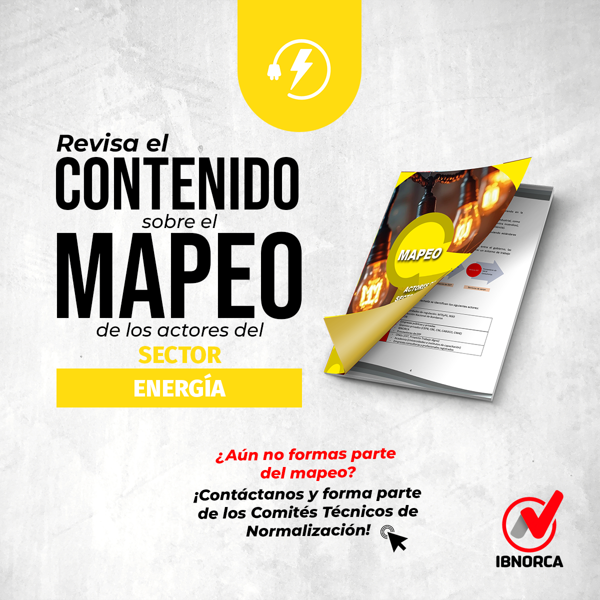 Mapeo del Sector energia